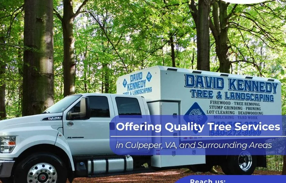 David Kennedy Tree & Landscaping