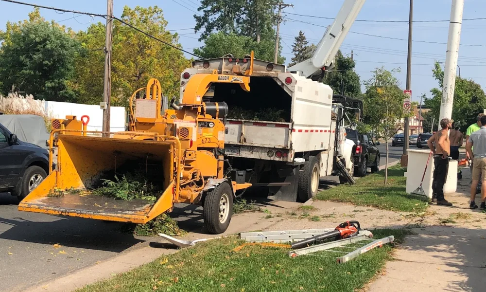 Maplewood Tree Service