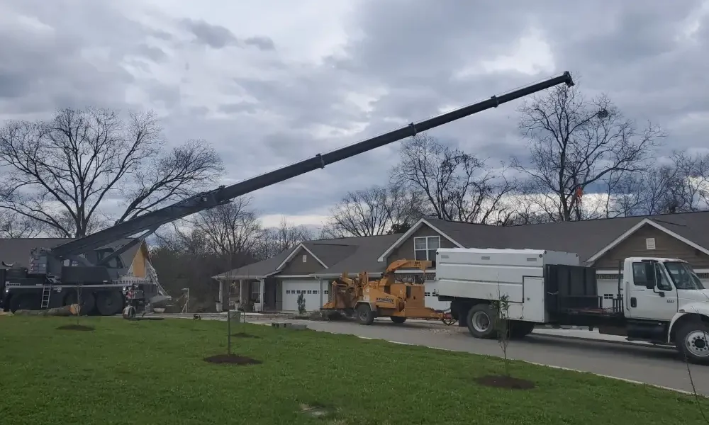 Whites Tree Services