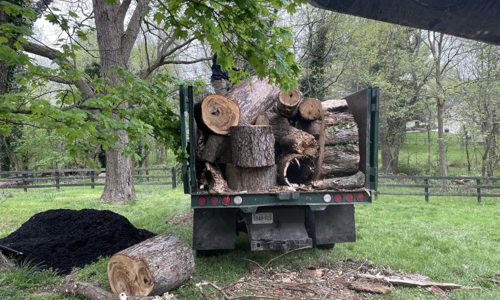 united-tree-services
