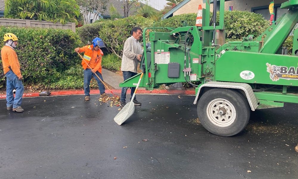 Charles Tree Service
