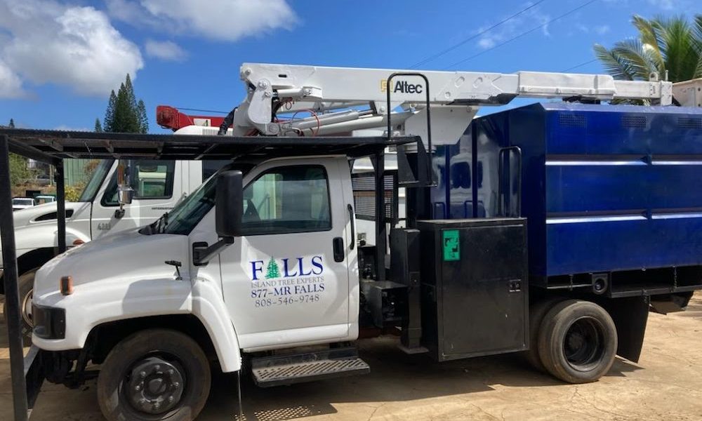 Falls Island Tree Experts