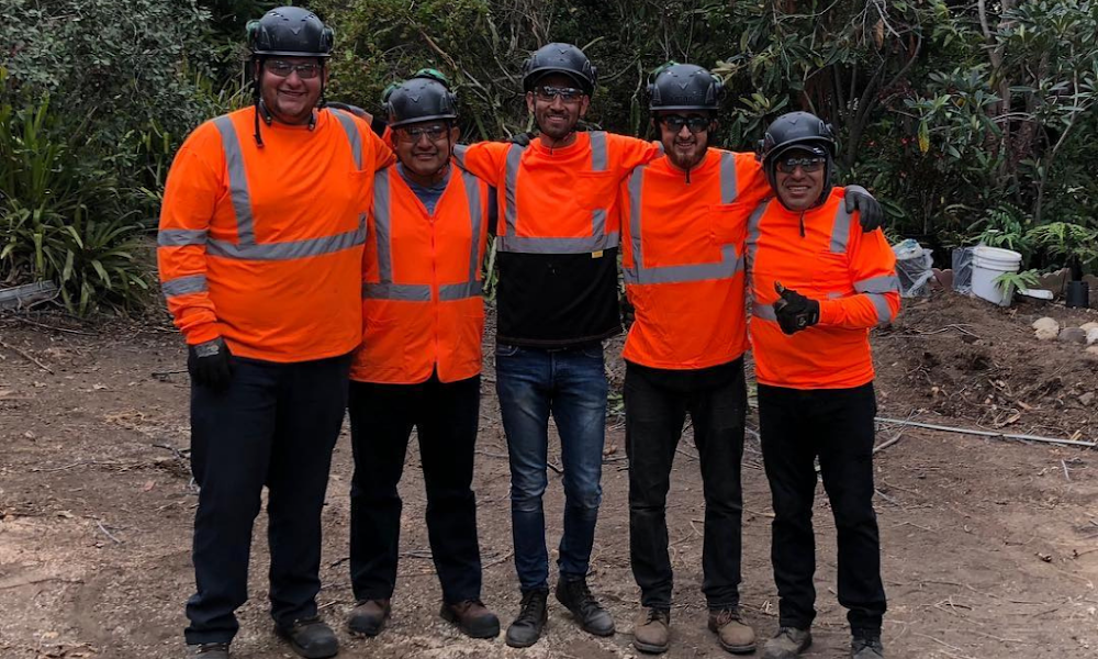 Higuera Tree Care