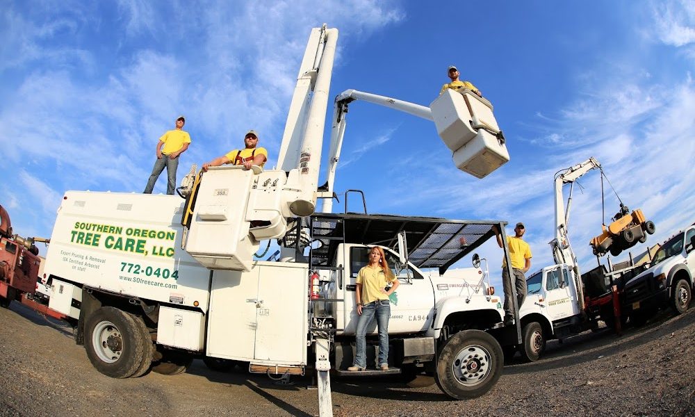Southern Oregon Tree Care LLC