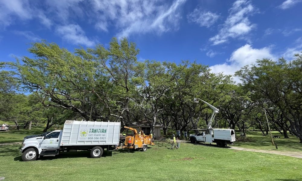 Tahitian Tree Services Inc