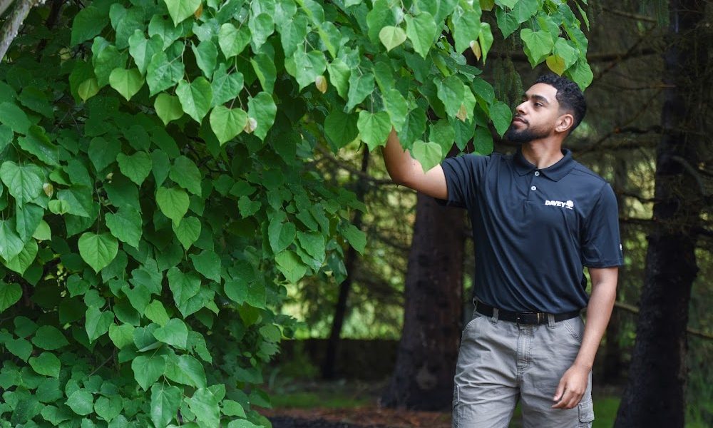 The Davey Tree Expert Company