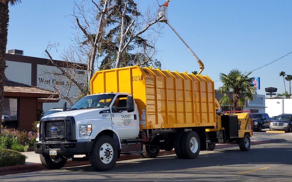 West Coast Arborists, Inc