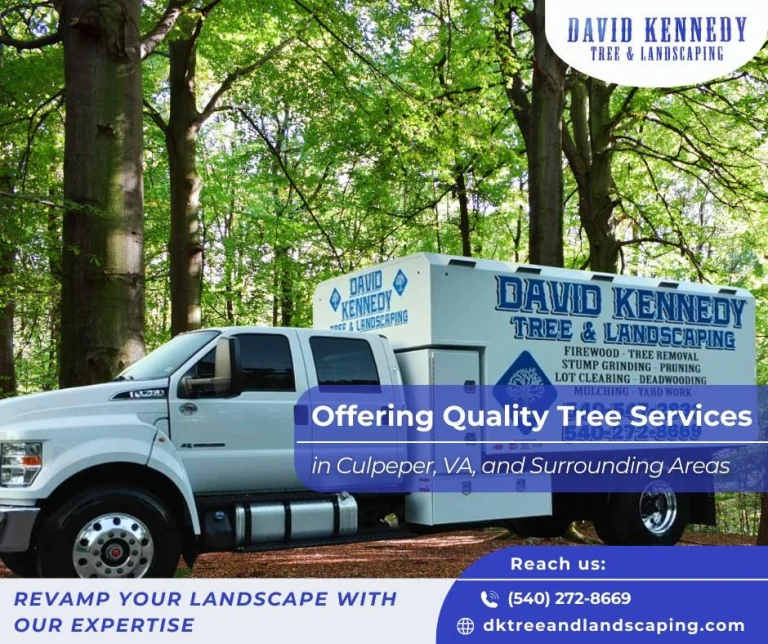 David Kennedy Tree & Landscaping