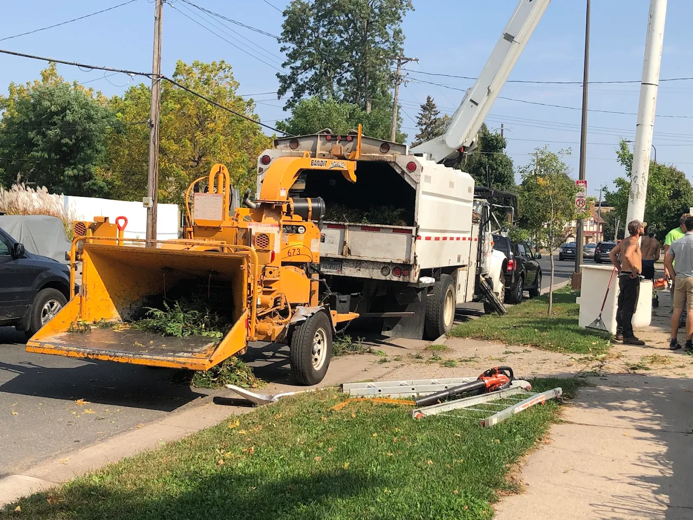 Maplewood Tree Service