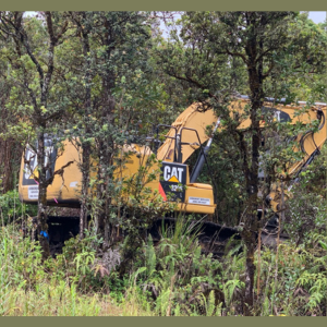 Arborist Services, LLC – Hilo, Big Island, Hawaii