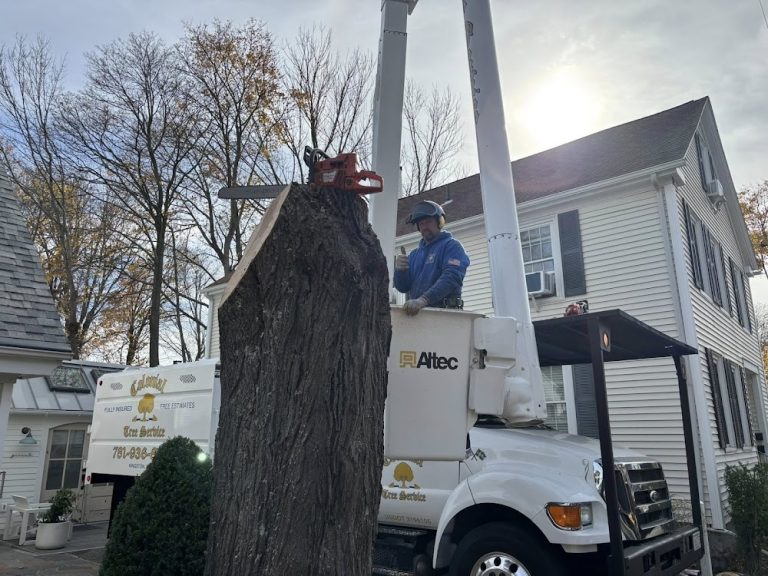 Colonial Tree Service