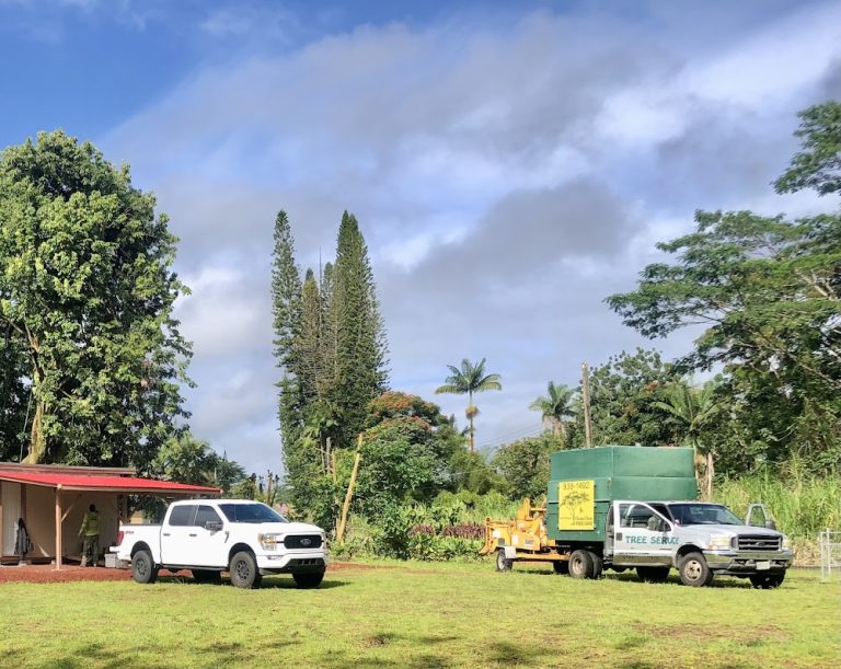East Side Tree Services