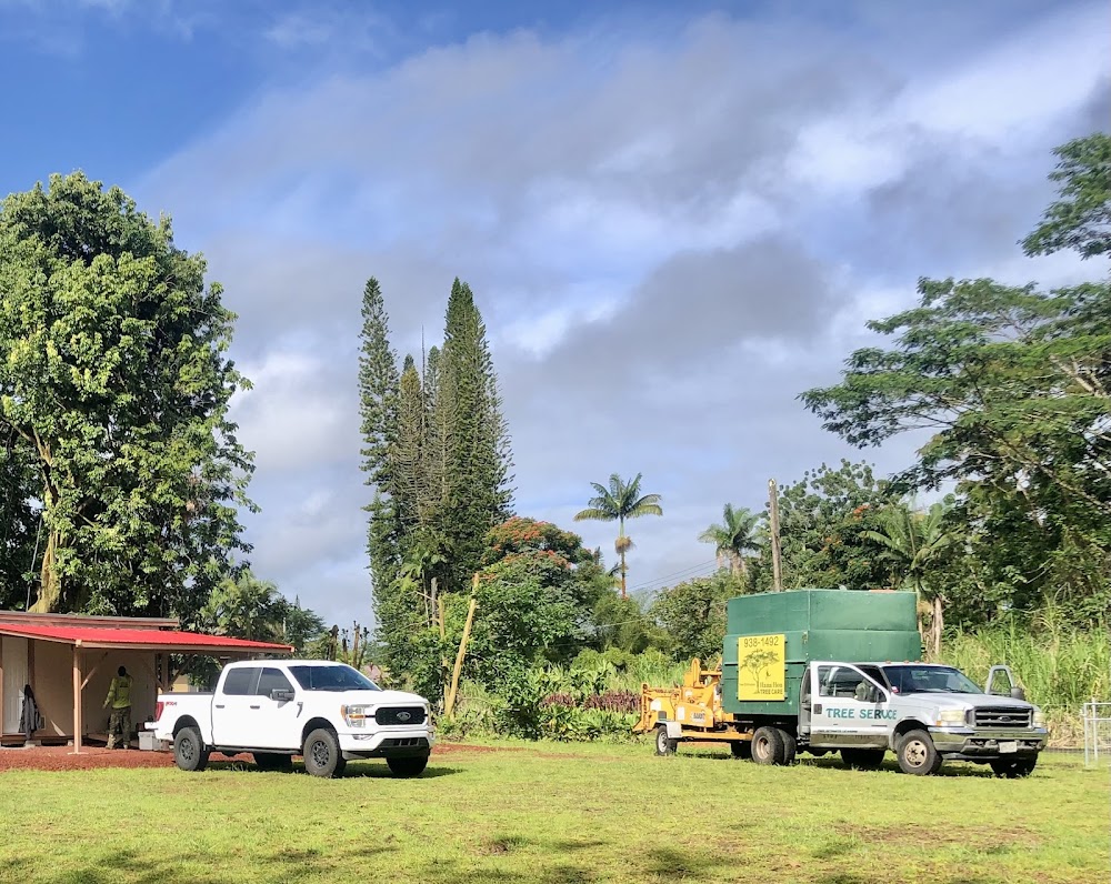 East Side Tree Services