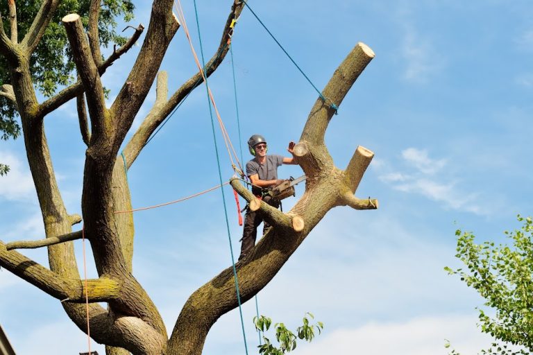 Green Leaf Tree Service