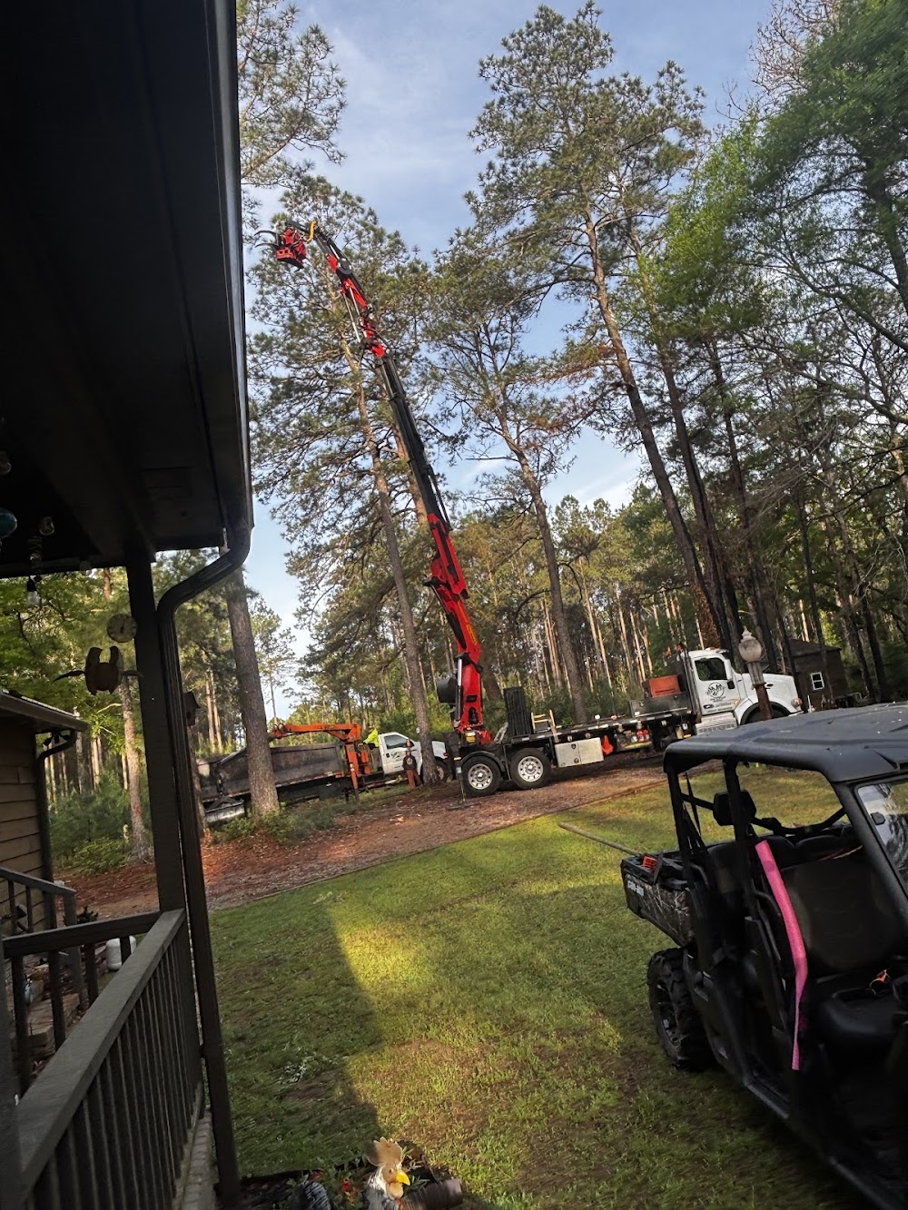 Harper’s Tree and Stump Removal