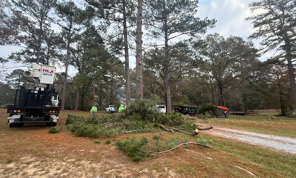 HLA Lawn & Tree Services