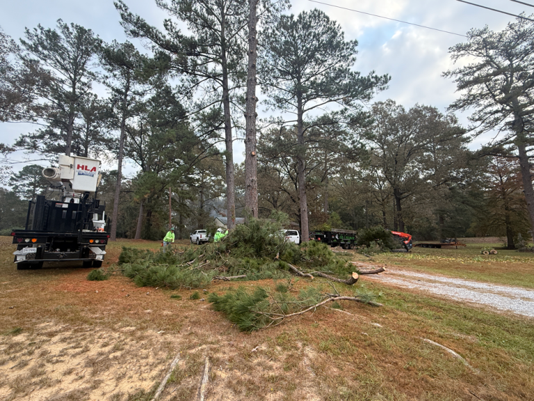 HLA Lawn & Tree Services
