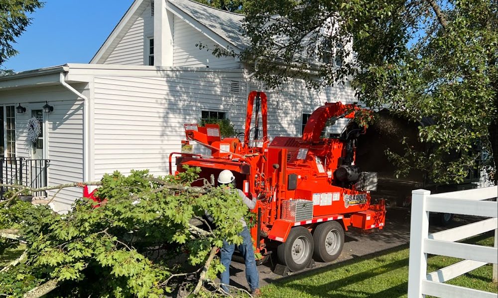 Lumberjacks Tree Service