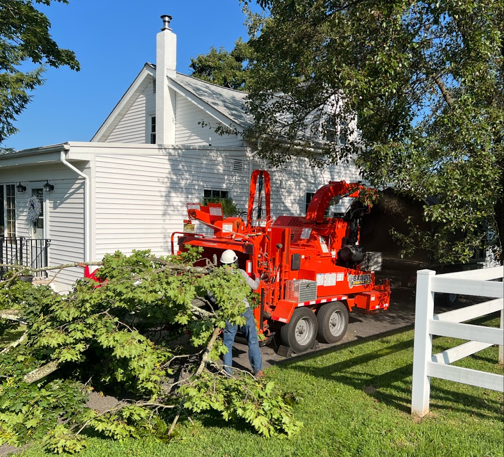 Lumberjacks Tree Service