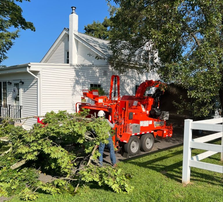 Lumberjacks Tree Service