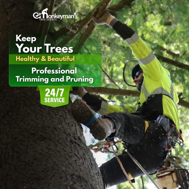 Monkeyman’s Tree Service