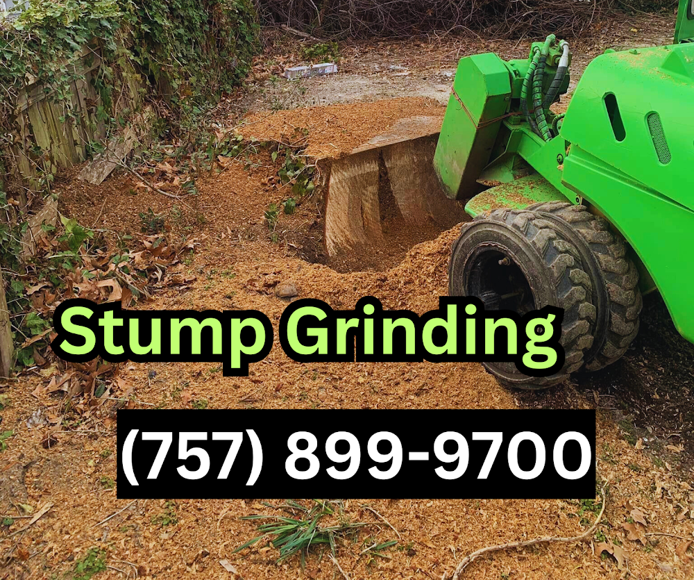Tree Stump Removal and Excavation