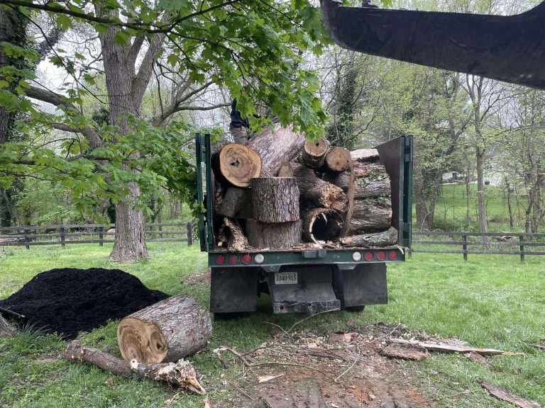 United Tree Services