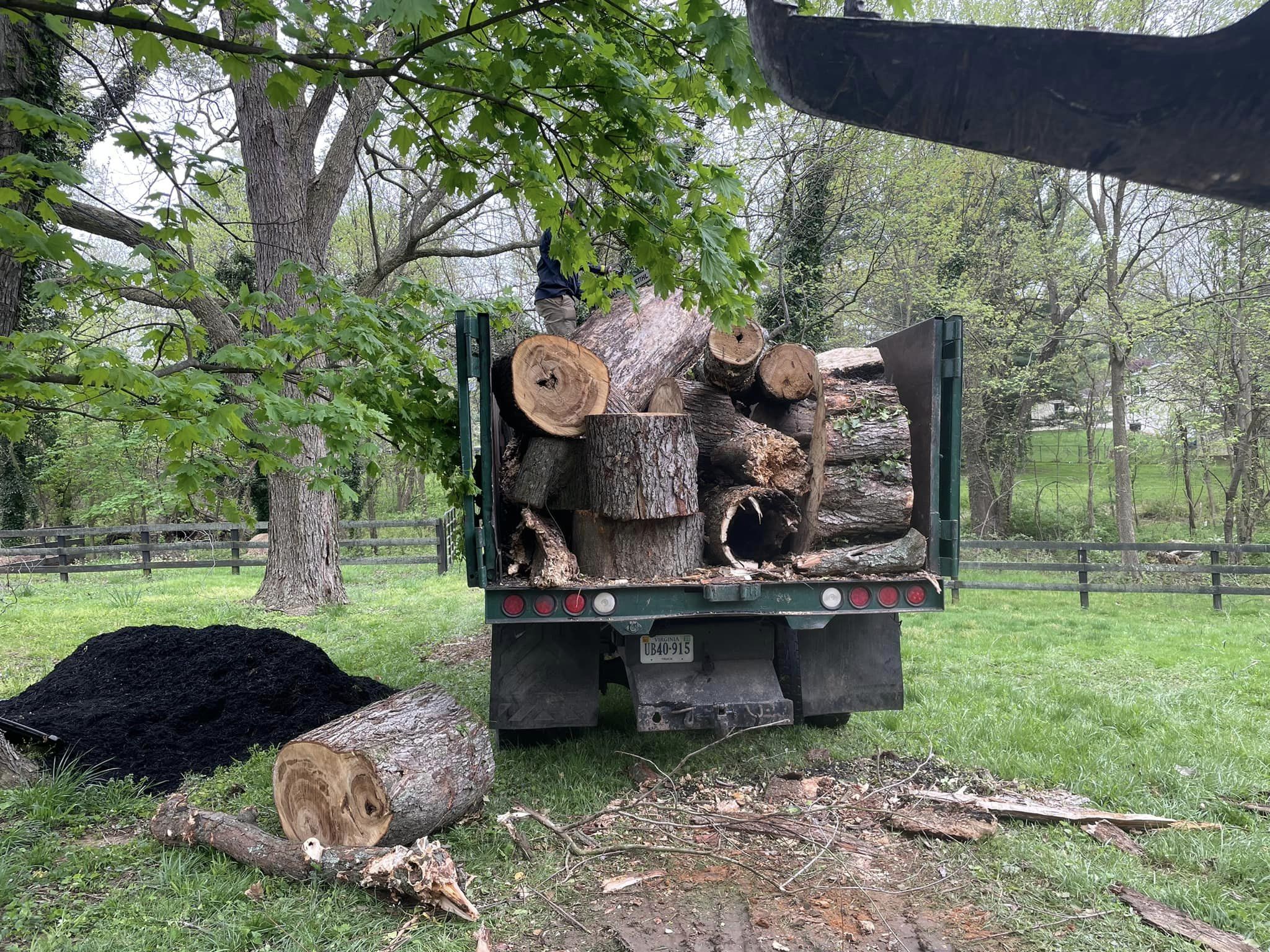 United Tree Services