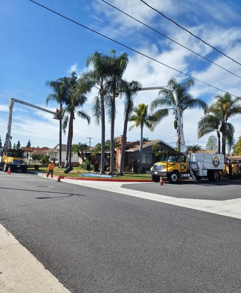 C&A Tree Care Services Inc