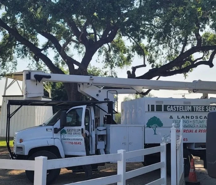 Gastelum Tree and Landscaping