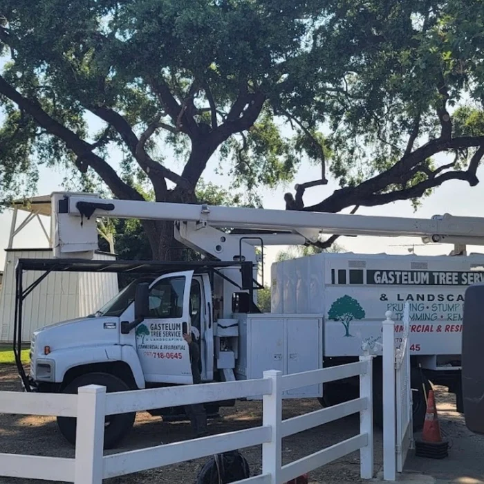 Gastelum Tree and Landscaping
