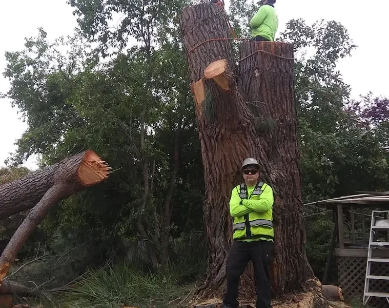 Jaeger’s Tree Service