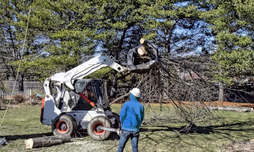 Pewaukee Tree Care