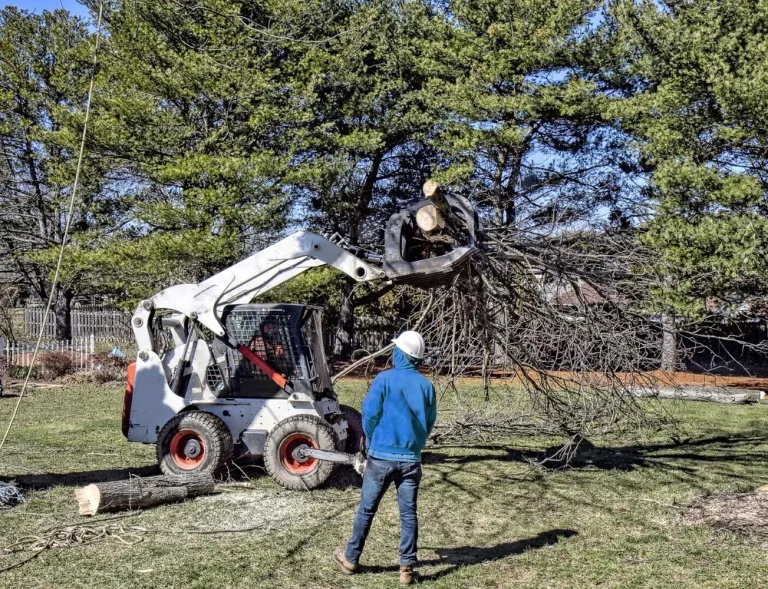 Pewaukee Tree Care