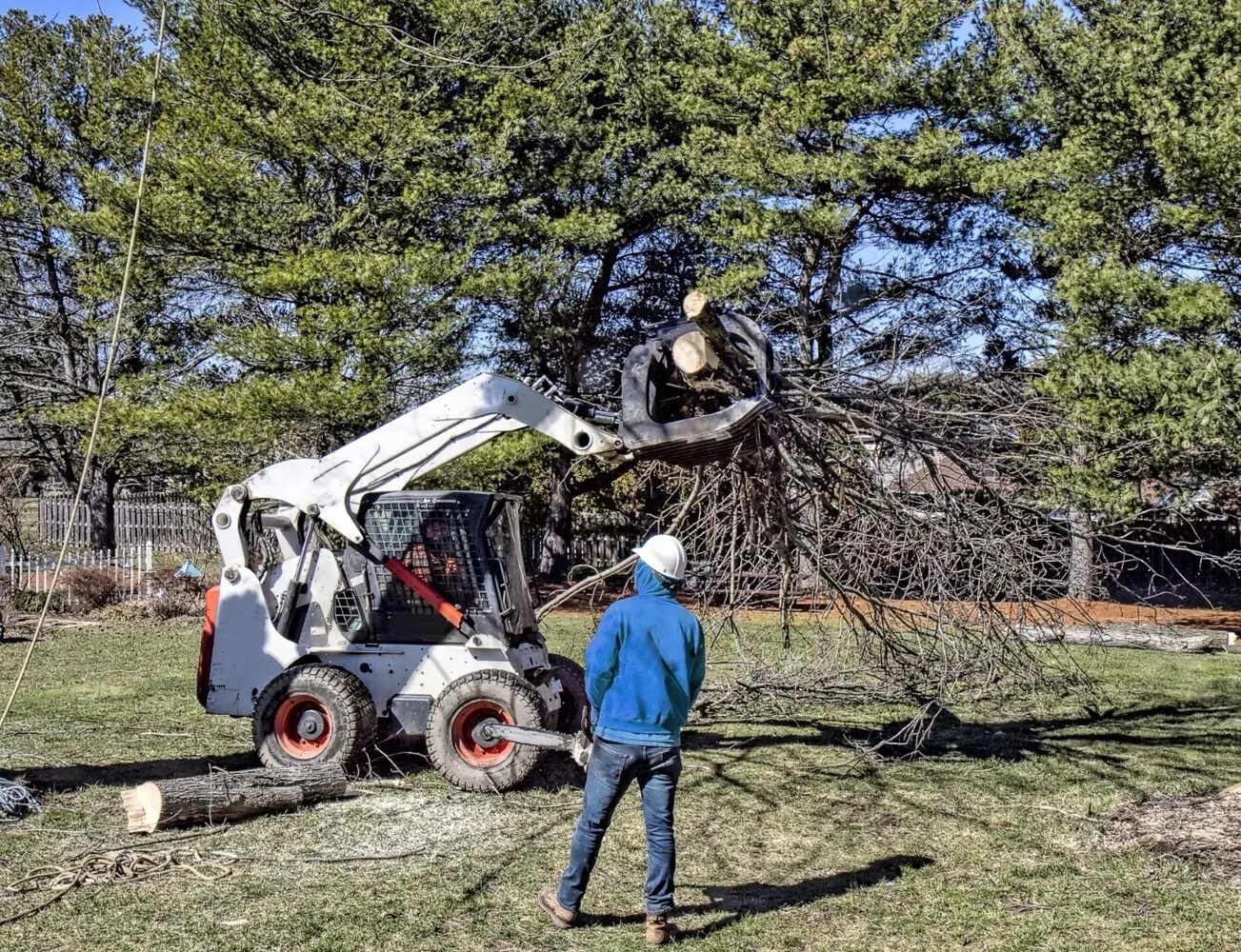 Pewaukee Tree Care