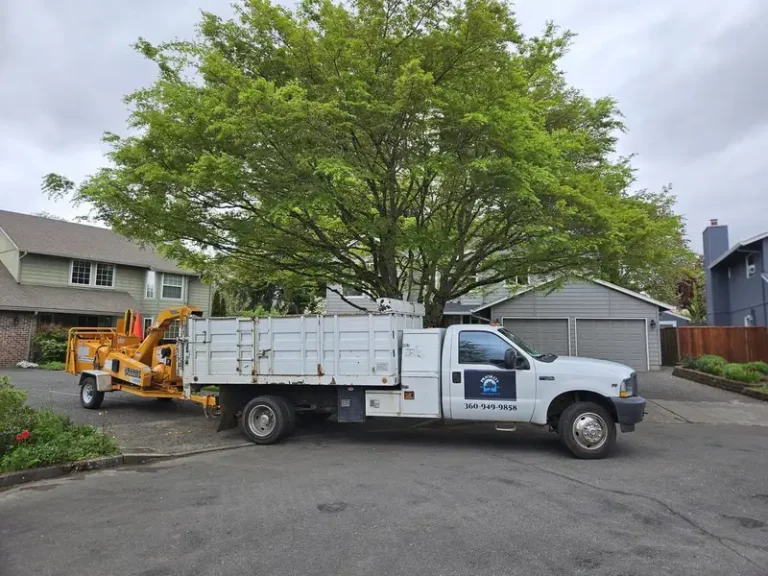 Priority Tree Service LLC