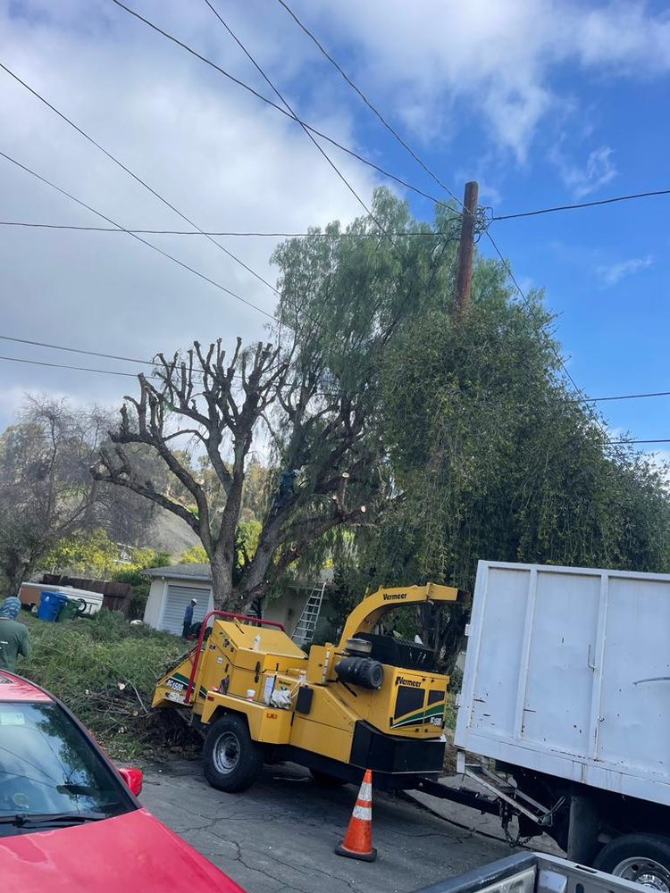 Rodriguez Tree Service