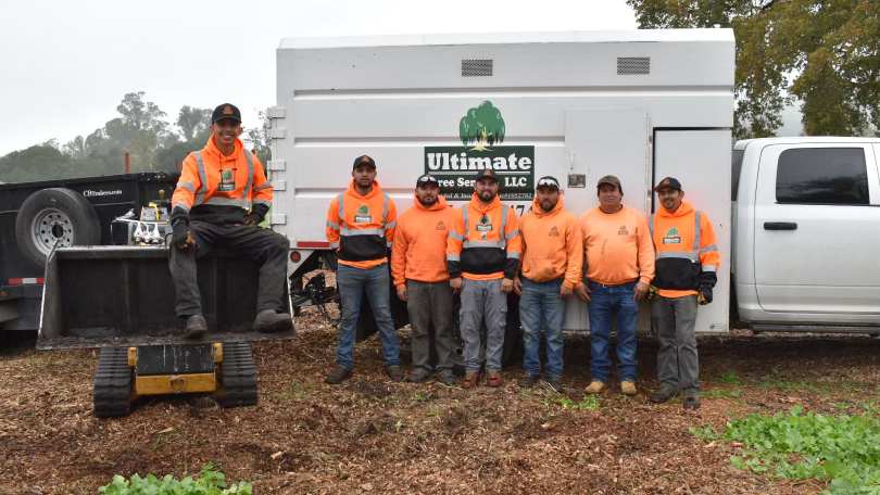Ultimate Tree Service