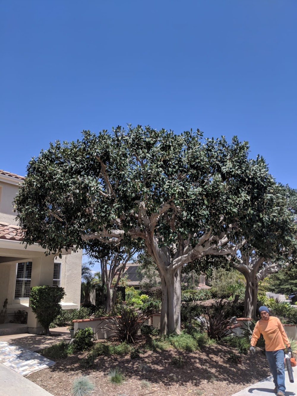 A.G.M. Tree Care