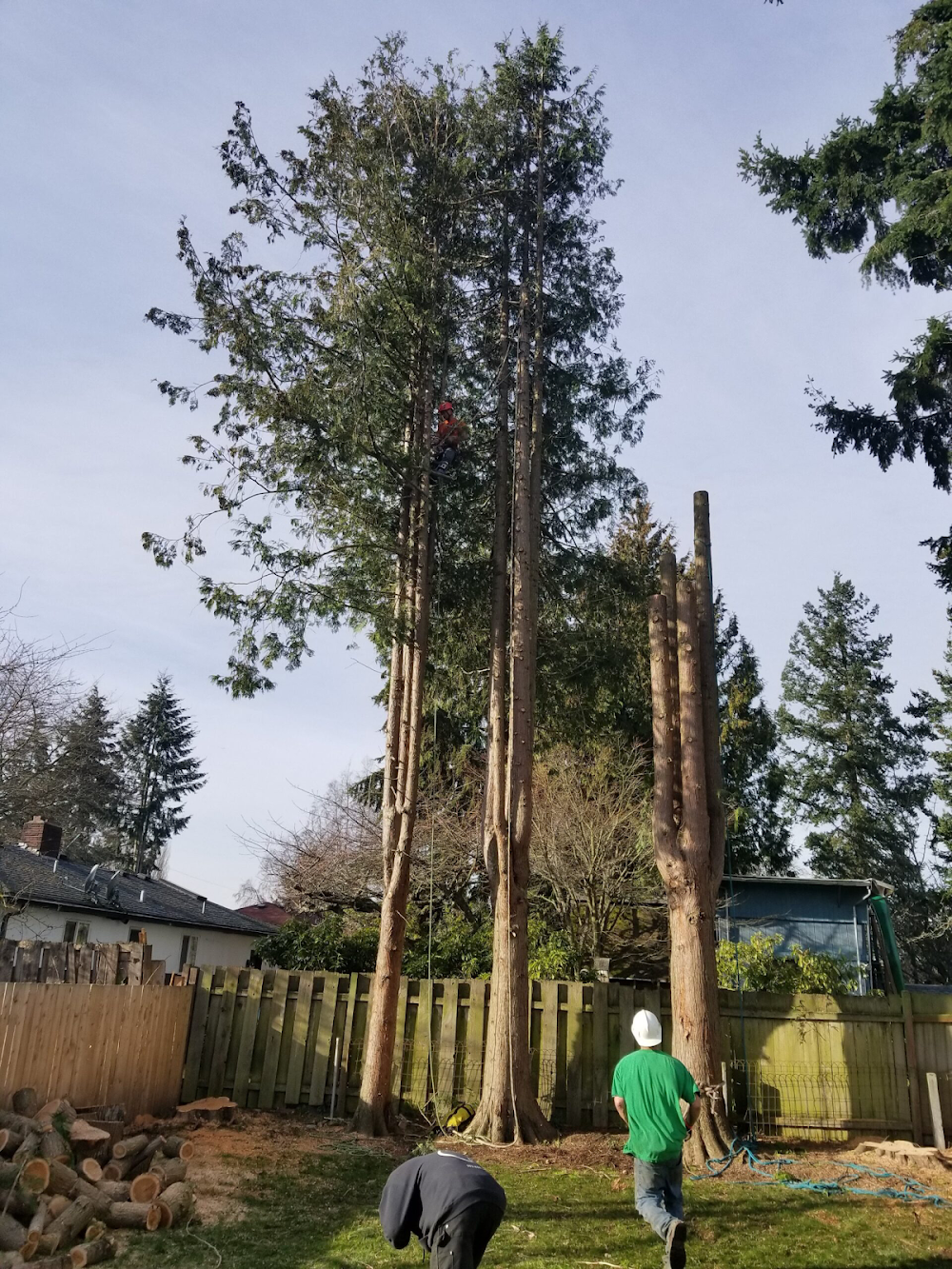 Ablaze Tree Pros LLC