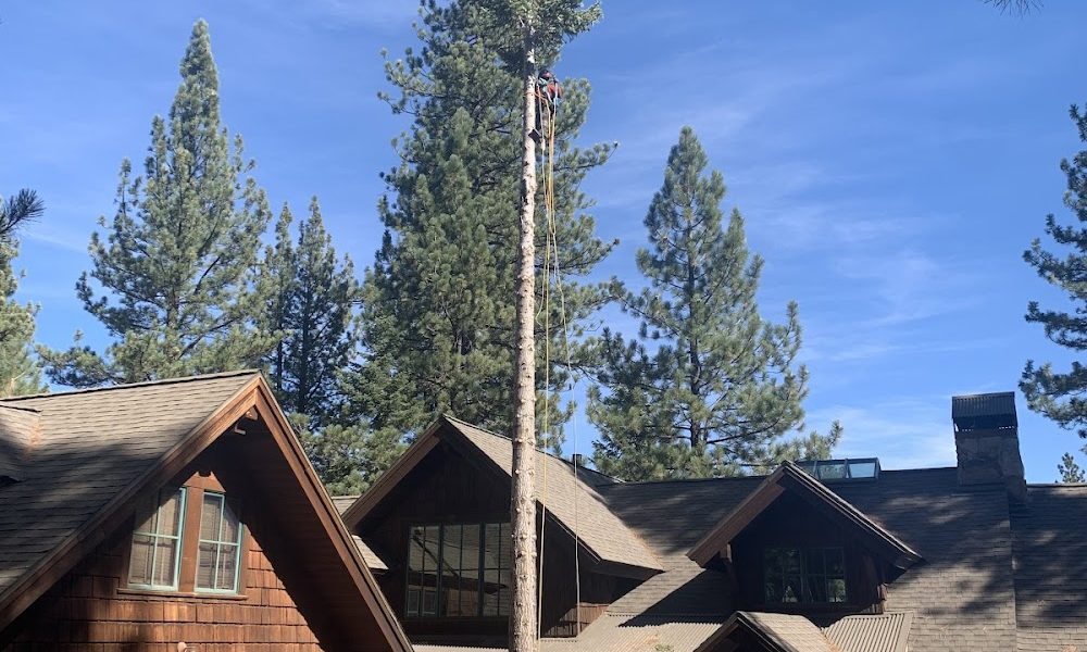 Elevated Tree Experts, LLC