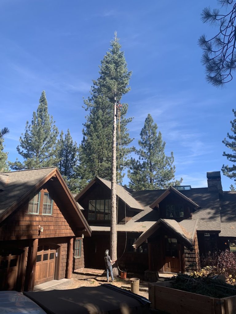 Elevated Tree Experts, LLC
