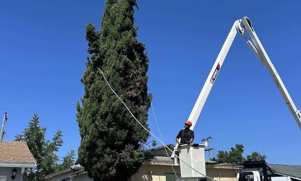 EZ TREE INC