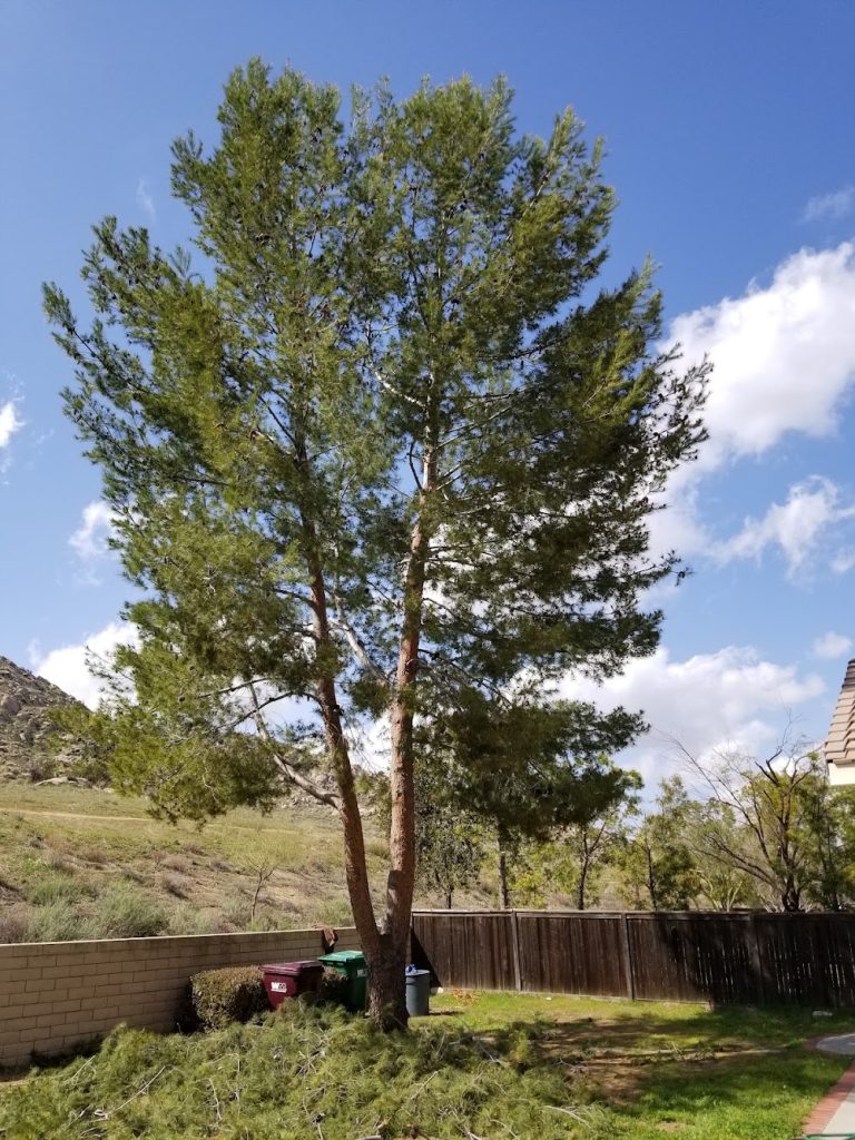 SkyHook Tree Service