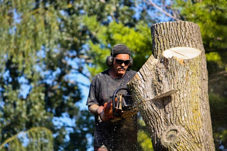 Zapps Tree & Yard Services