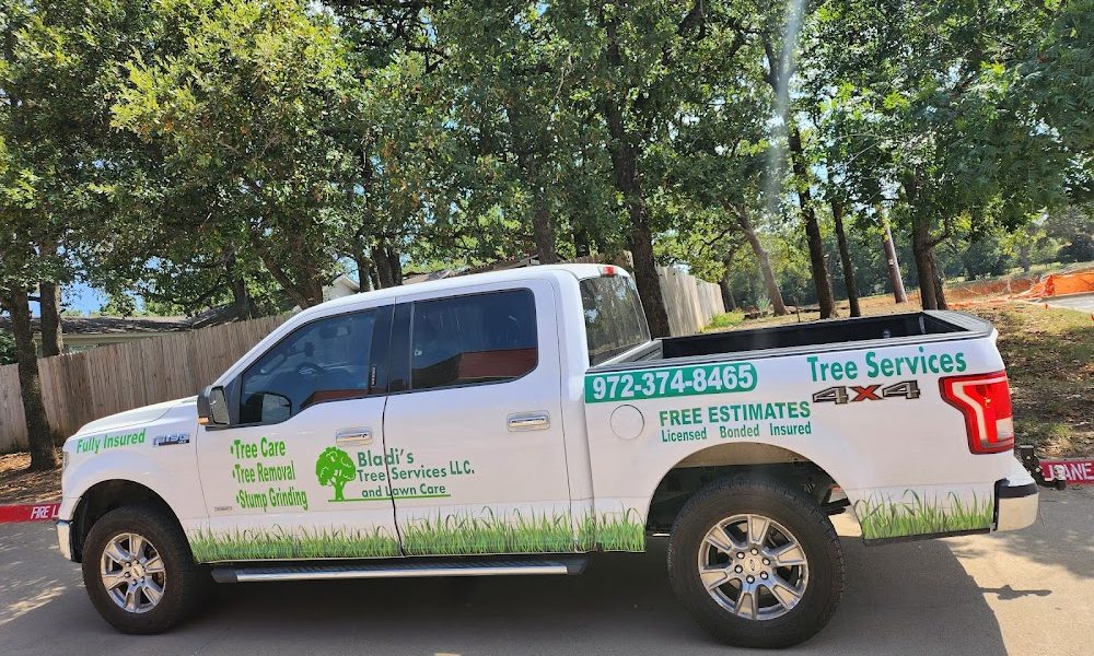 Bladi’s Tree Service