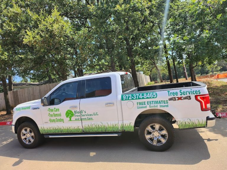 Bladi’s Tree Service