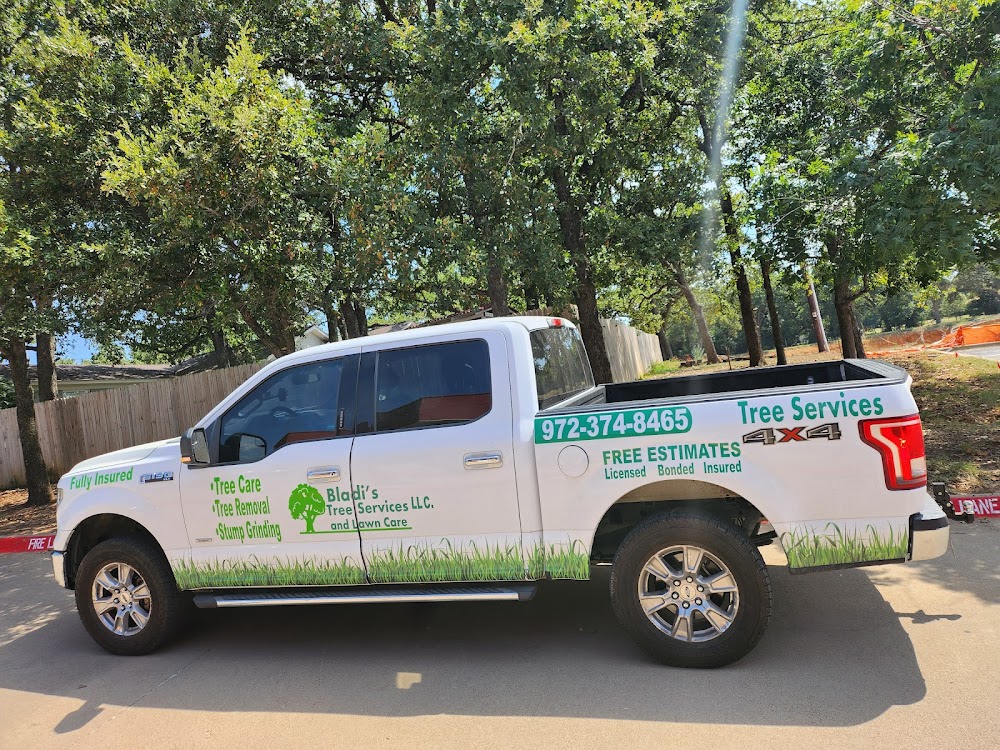 Bladi’s Tree Service