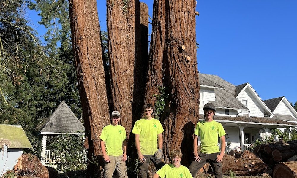 ClearTree
