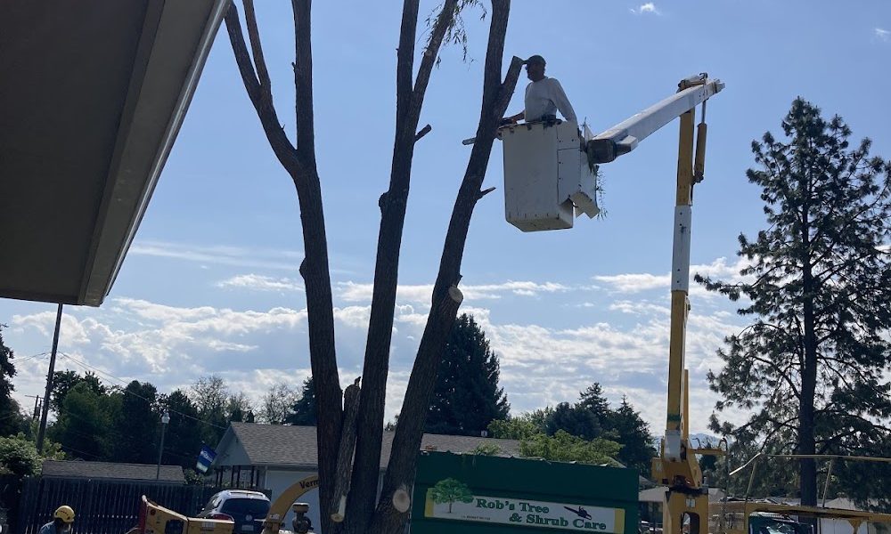 Rob’s Tree & Shrub Care